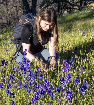A woman picks flowers in the Cache Creek Wilderness