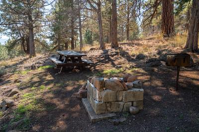 A fire pit and picnic table in the forest