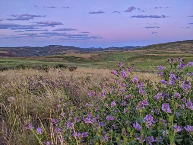 Lands transferred to BLM through the Blacktail Ranch acquisition.  Photo courtesy of Idaho Department of Fish and Game.