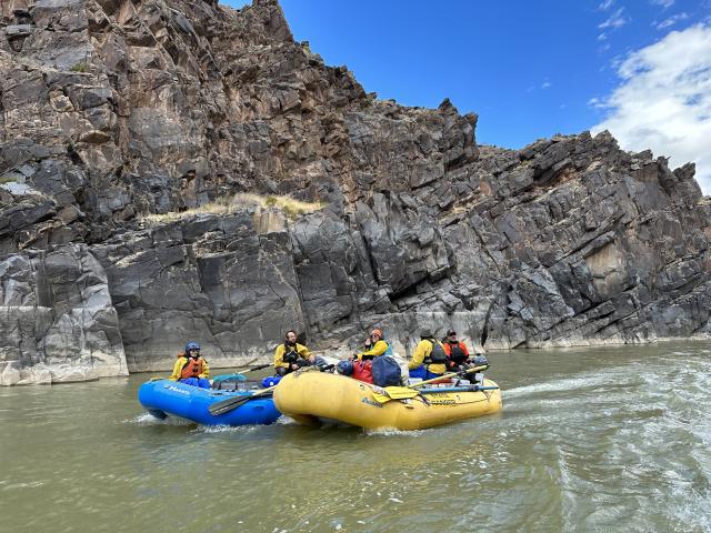 The team boats down the Colorado River through Westwater Canyon to access hard to reach tamarisk plants.  