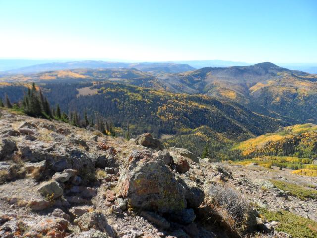 Fall colors of yellow along the scenic Paiute Trail in Central Utah.