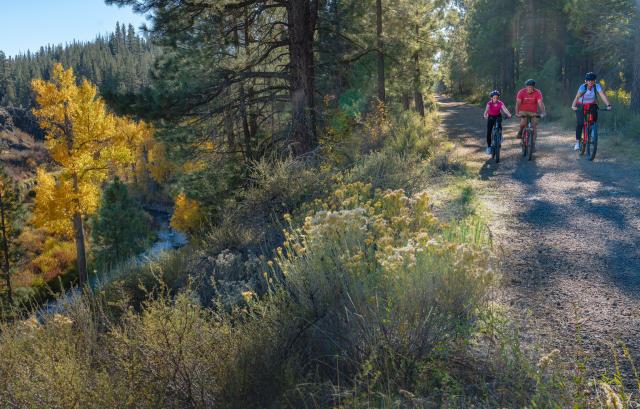 Three people riding bikes on a gravel trail in a wooded area.