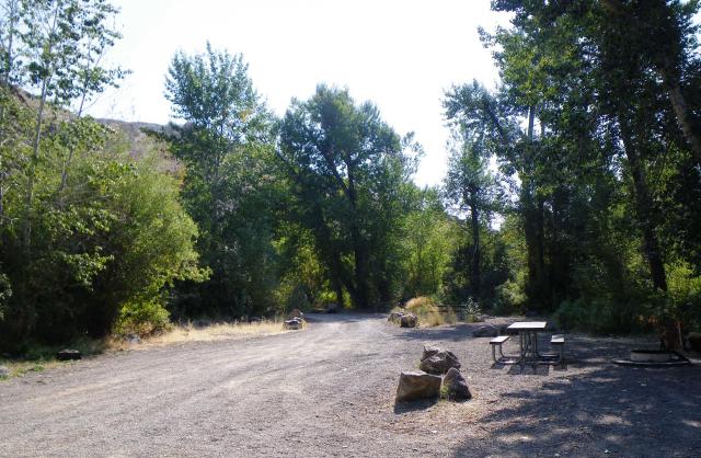 Big Cottonwood campground site
