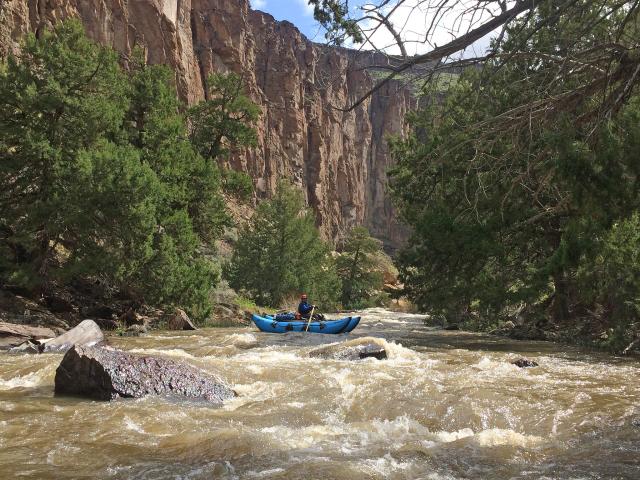 Rafter on the Bruneau River