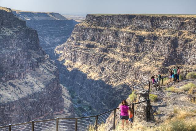 People looking over Bruneau Canyon