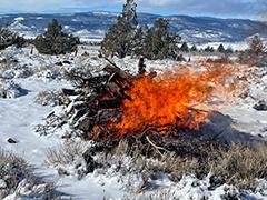 A pile burn in snow. 