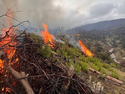 A pile of brush burns with wet forest in the background