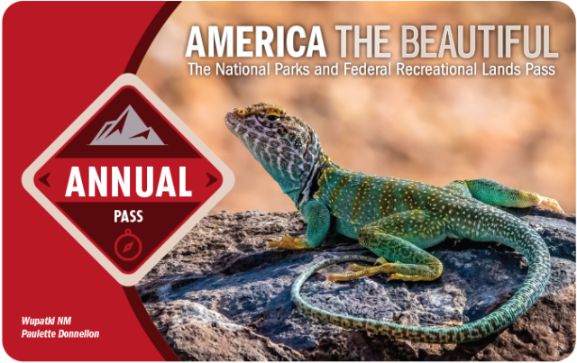 annual public lands access pass with lizard