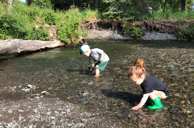 Two small children kneel in a creek on a summer day. 