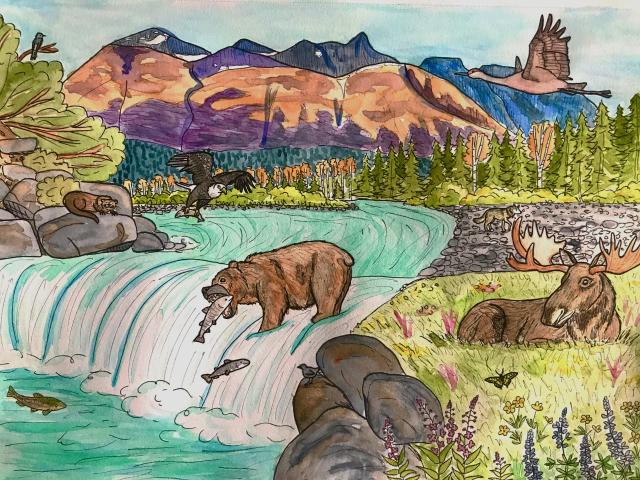 Illustration of a bear catching a salmon at a waterfall. 