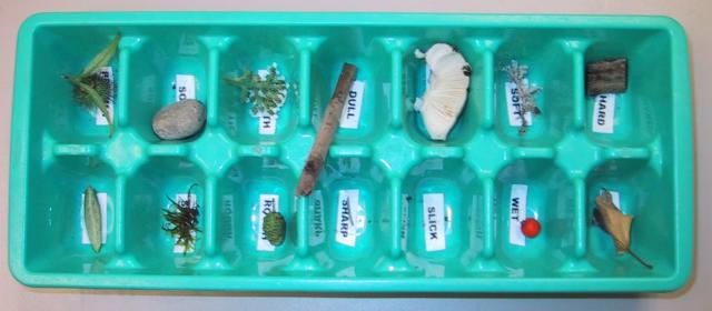 Blue ice cube tray labeled with different textures. Some of the labels have a matching item. 