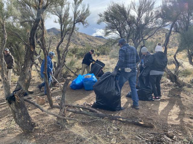 Volunteers with large black trash bags collecting trash from the ground underneath a grouping of trees,