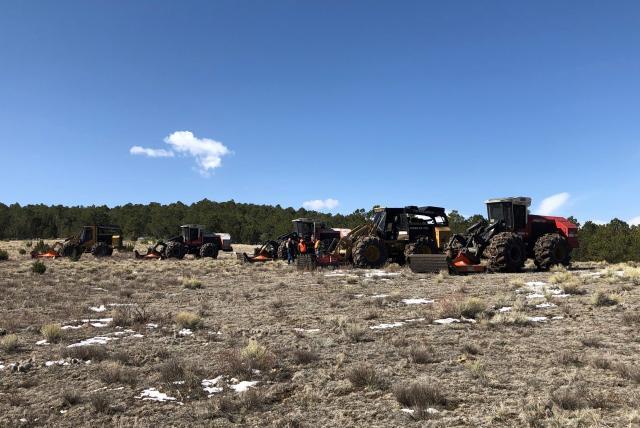 Tractors in a field