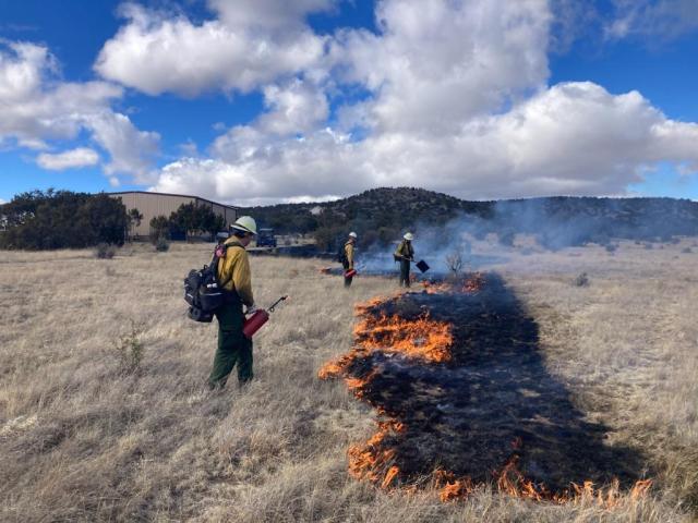 Photo of Prescribed Burn in Sand Ranch