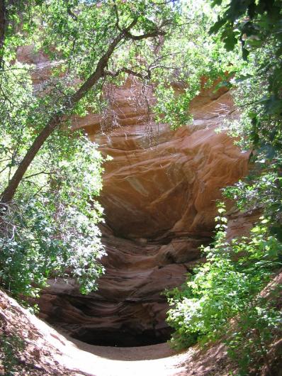 Entrance to a cave surrounded by vegetation.