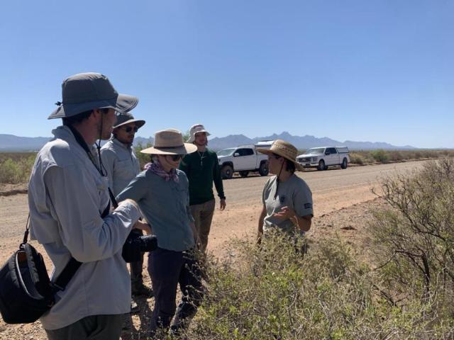 Institute for Applied Ecology Botanist Liz Plazewski teaches about the common Chihuahuan Desert shrub Flourensia Cernua to (Left to right) crew members Colin McKenzie, crew lead Marco Donoso, U.S. Geological Service contractor Gayle Tyree, and crew member Robbie Leonard.