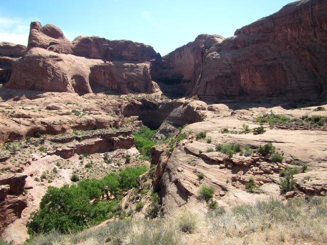 View of canyon looking down and out.