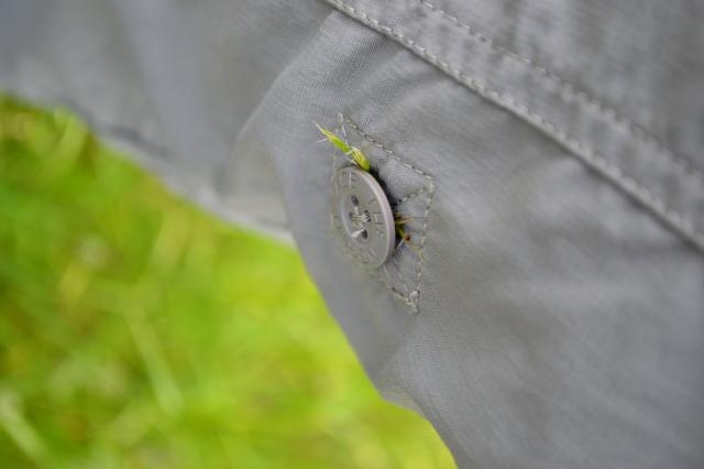 A seed from ventenata grass attached to a shirt cuff