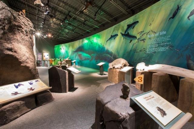 Photo taken inside the Yaquina Head Interpretive Center. It has a large rock in the middle and a large curved mural of whales on the right side, with a path in between, lined on both sides with interpretive signs and sculptures.