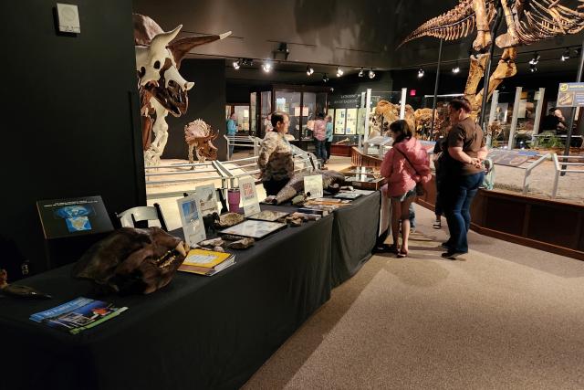 A table draped in black in a museum with life-sized dinosaur skeletons