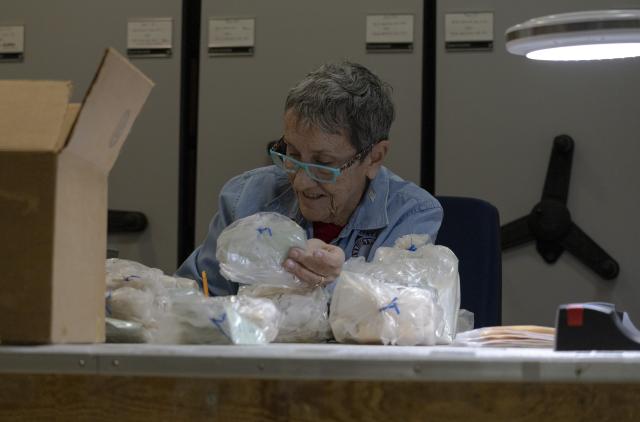 Woman with shorter hair wearing glasses working with curatorial items