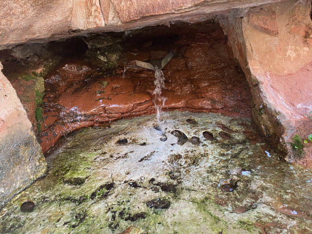 This photo shows Matrimony Spring flowing out of the tan Navajo Sandstone in Utah.