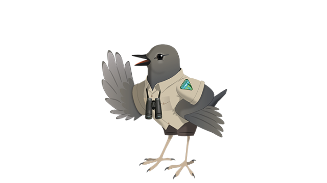 Grey Dipper wears a BLM Uniform