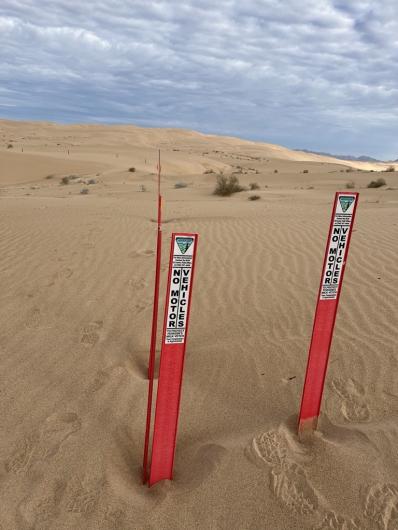 Signs posted in Imperial Sand Dunes Recreation Area to protect critical habitat for Peirson’s milk-vetch.