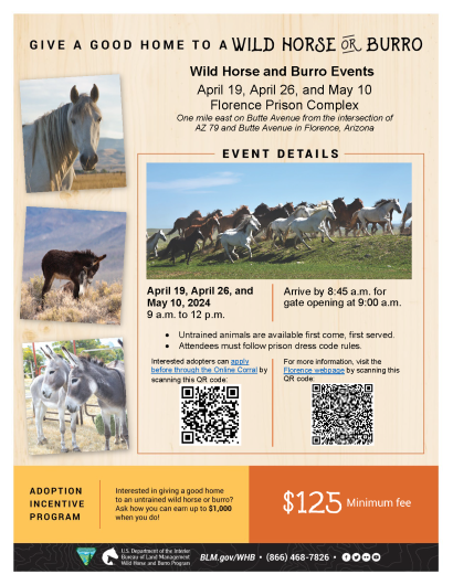 A flyer of an upcoming Wild Horse and Burro event in Florence, Arizona.
