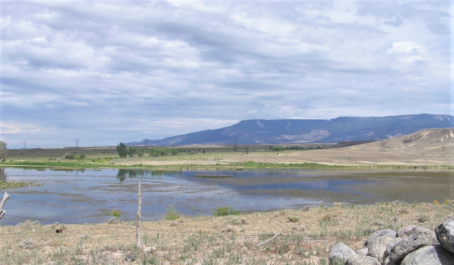 Cheney Reservoir