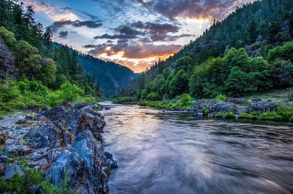 rapidly flowing river with fir trees on the bank and colorful sunset with clouds in the background