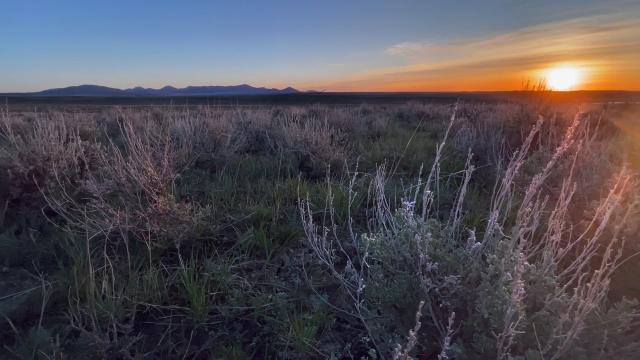 Photo. Sagebrush-prairie landscape at dawn. Mountains on the horizon. Blue skies, sun rising behind thin clouds tinted in orange hues.