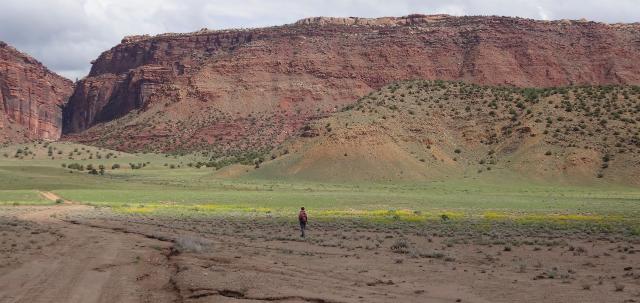 Hamm Canyon in Tres Rios Field Office