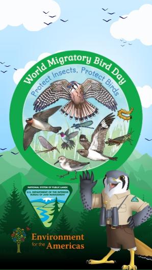 Illustration of Agent Kestrel below the World Migratory Bird Day logo and to the left of the BLM logo. 