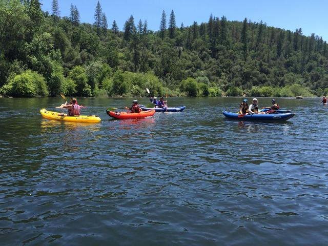 three yellow and red kayaks in a blue river with tall evergreens in the background 