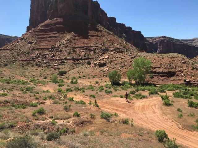Dirt roads in the Dolores River travel management area.