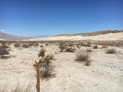 A wooden stake in a flat desert landscape with a distant mountain range.