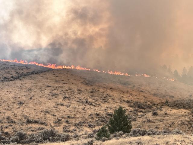 Thunder fire in Lemhi County, Idaho