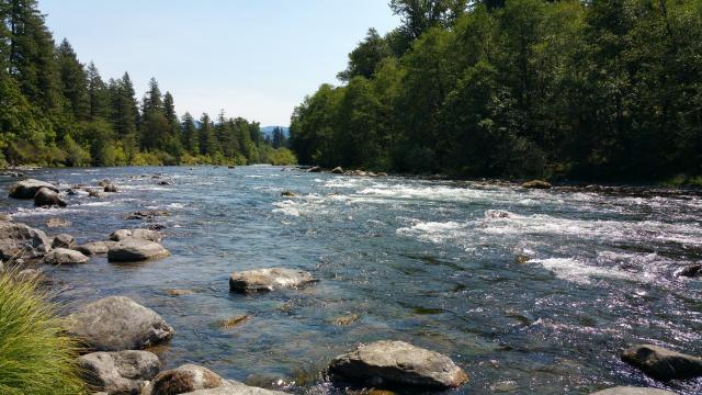 Fishermen's Bend