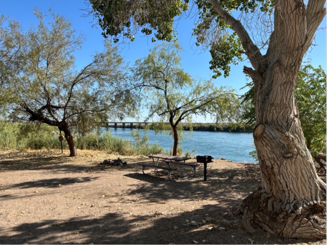 Trees and picnic tables line the Colorado river near the Oxbow Recreation and Wildlife Area.