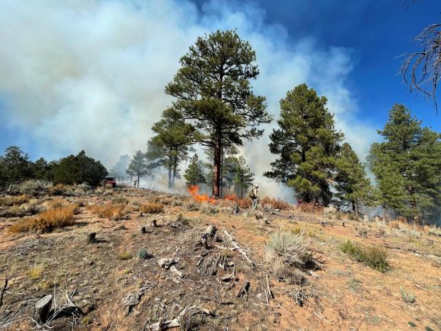 BLM firefighter closely monitors a prescribed fire treatment in the Farmers Canyon area of Dominguez Escalante National Conservation Area.