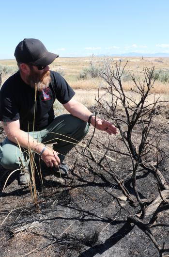 Caucasian man crouches next to burned shrub