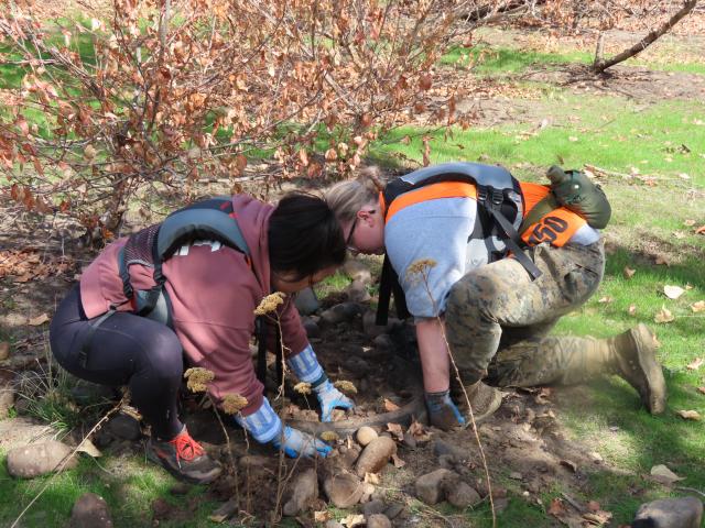 A volunteer and cadet work to retrieve a tire that was recently exposed due to the Gwen Fire.