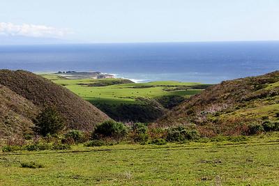 An oceanside pasture of low green grass and rolling hills meets the calm waters of the Pacific Ocean.