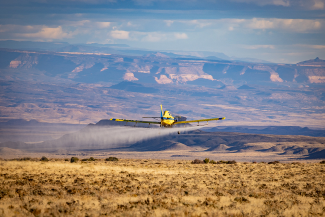 A small airplane sprays herbicide onto grasses. Canyons are in the background.