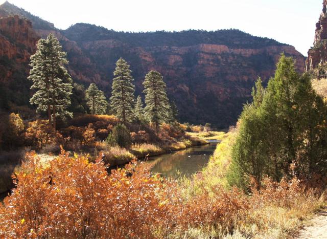Box Elder area along the Dolores River in Tres Rios Field Office, CO