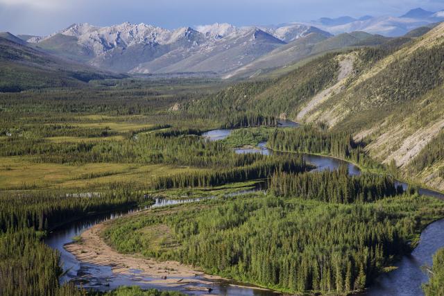 An aerial shot of the river, showing its winding path along the base of a mountain. The mountain it runs against is smooth, mostly vegetated with patches of lightly colored loose rock. To the left of the river is a mixed area with clumps of green trees and yellow-green fields. Toward the bottom of the picture, the river branches in two, forming an island. A large, light brown sand bar stretches along the island’s left bank. In the distance, steeper mountains with jagged white peaks sit under a dark blue sky