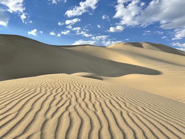 Waves of sand ripple along an expansive sand dune 