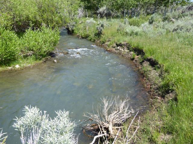 A creek surrounded by green grass