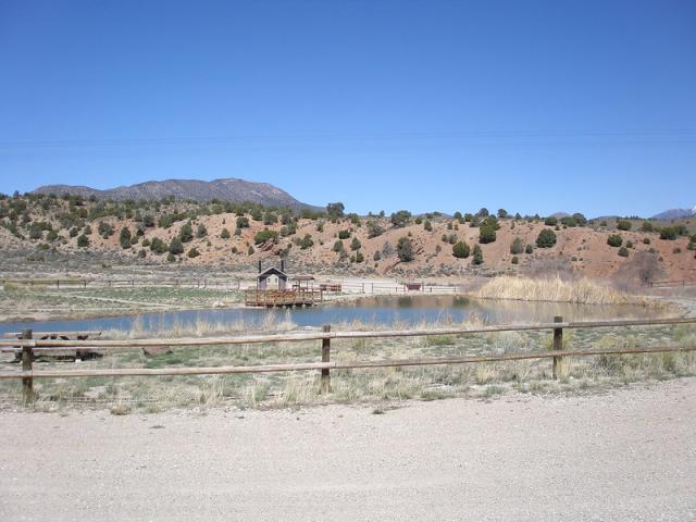 Pond with a small building and fence railing.
